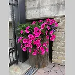 A Due Passi Da Bormio ヴァルディソット
